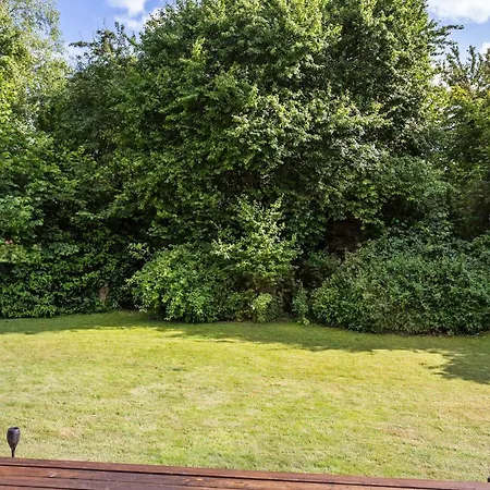 Pet Friendly In With Wifi *